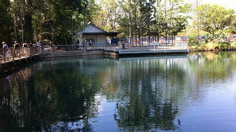 Howard Springs Nature Park - Accommodation in Surfers Paradise 1