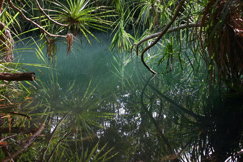 Howard Springs Nature Park - Accommodation in Surfers Paradise 2