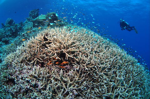 Lodestone Reef - Accommodation in Surfers Paradise 1