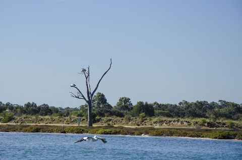 Mandurah Estuary And Peel Inlet - Accommodation in Surfers Paradise 1
