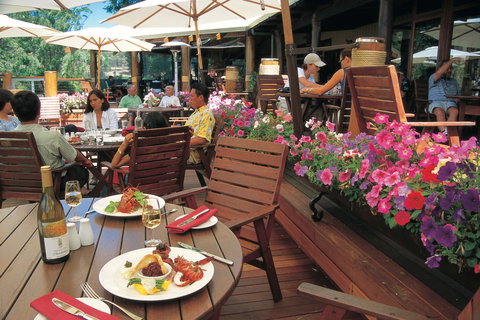 Margaret River Wine Cycle Trail - Accommodation in Surfers Paradise 0