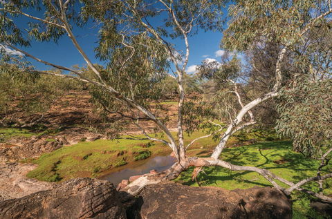 Mount Grenfell Historic Site - Accommodation in Surfers Paradise 0