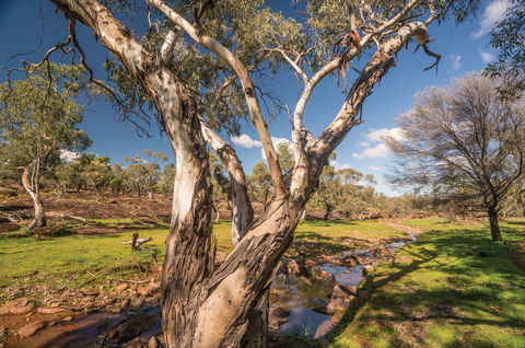 Mount Grenfell Historic Site - Accommodation in Surfers Paradise 2
