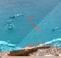 Nullarbor National Park - Accommodation in Surfers Paradise