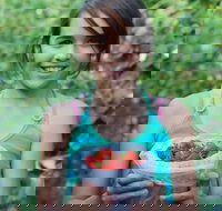 Ricardoes Tomatoes and Strawberries Farm Port Macquarie - Accommodation in Surfers Paradise