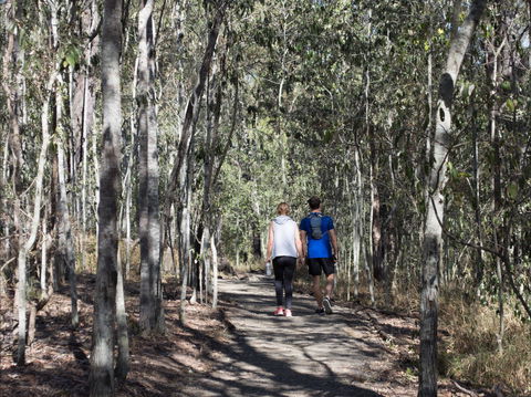 Six Mile Creek, Bluff Lookout And Little White Rock Trails - Accommodation in Surfers Paradise 0