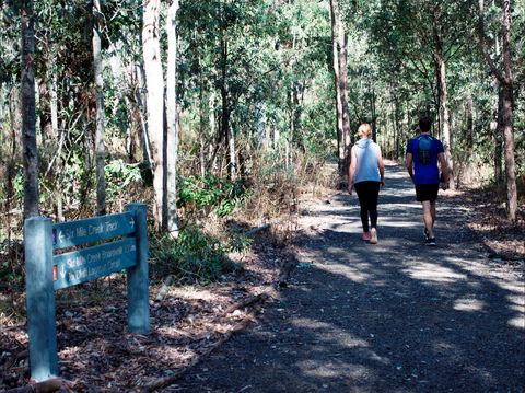 Six Mile Creek, Bluff Lookout And Little White Rock Trails - Accommodation in Surfers Paradise 2
