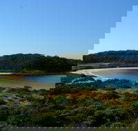 Snorkelling Broulee Island - Accommodation in Surfers Paradise