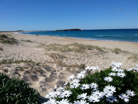 Warilla - Accommodation in Surfers Paradise 1