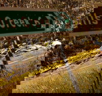 7 Peaks Ride - Falls Creek - Accommodation in Surfers Paradise