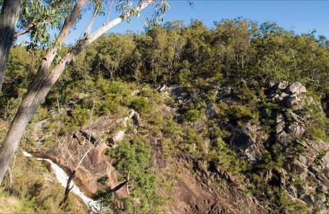 Boonoo Boonoo Falls Picnic Area - Accommodation in Surfers Paradise 0