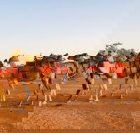 Broken Hill Camels - Accommodation in Surfers Paradise