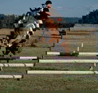 Camden Bicentennial Equestrian Park - Accommodation in Surfers Paradise