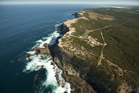 Cape Nelson State Park - Accommodation in Surfers Paradise 1