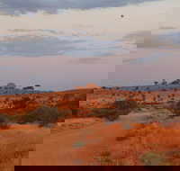 Castle Rock walk and Lookout - Accommodation in Surfers Paradise