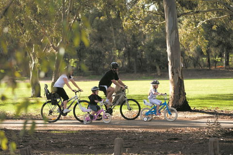Coast To Vines Rail Trail - Accommodation in Surfers Paradise 1