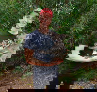 Cooberrie Park Wildlife Sanctuary - Accommodation in Surfers Paradise