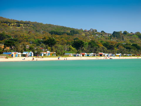 Dromana Bay Trail - Accommodation in Surfers Paradise 0