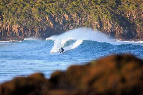 Killalea Reserve - Accommodation in Surfers Paradise 1