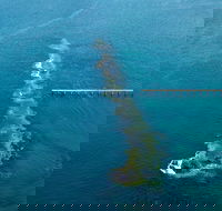 Port Noarlunga Reef Sanctuary Zone - Encounter Marine Park - Accommodation in Surfers Paradise