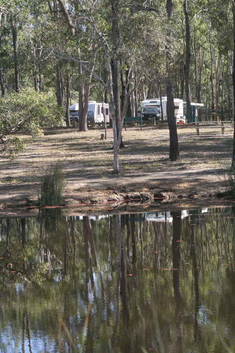 Wongi State Forest - Accommodation in Surfers Paradise 1