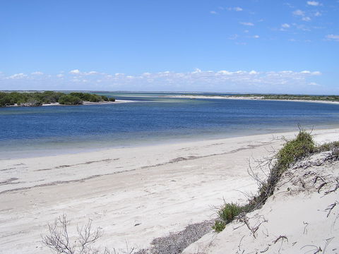 Acraman Creek Conservation Park - Accommodation in Surfers Paradise 0
