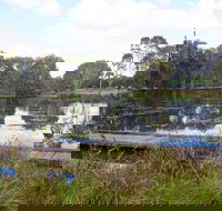 Baldwin Swamp Environmental Park - Accommodation in Surfers Paradise