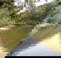 Bents Basin State Conservation Area - Accommodation in Surfers Paradise