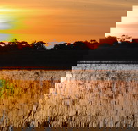 Bool Lagoon Game Reserve and Hacks Lagoon Conservation Park - Accommodation in Surfers Paradise