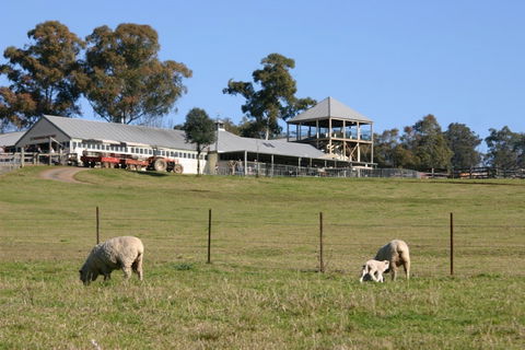 Calmsley Hill City Farm - Accommodation in Surfers Paradise 0