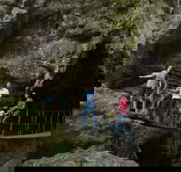 Day trips from Rockhampton - Accommodation in Surfers Paradise