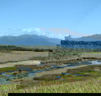 Eubenangee Swamp National Park - Accommodation in Surfers Paradise