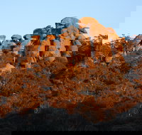 Evans Crown Nature Reserve - Accommodation in Surfers Paradise