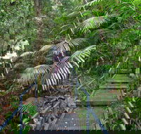 Falls walking track - Accommodation in Surfers Paradise