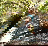 Haig Street Quarry Bushland Reserve Trails - Accommodation in Surfers Paradise