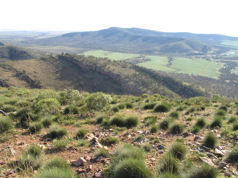 Horseshoe Rim 4WD Adventure Track - Accommodation in Surfers Paradise 0