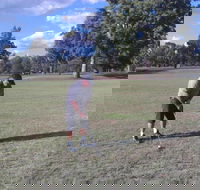 Inverell Golf Club - Accommodation in Surfers Paradise