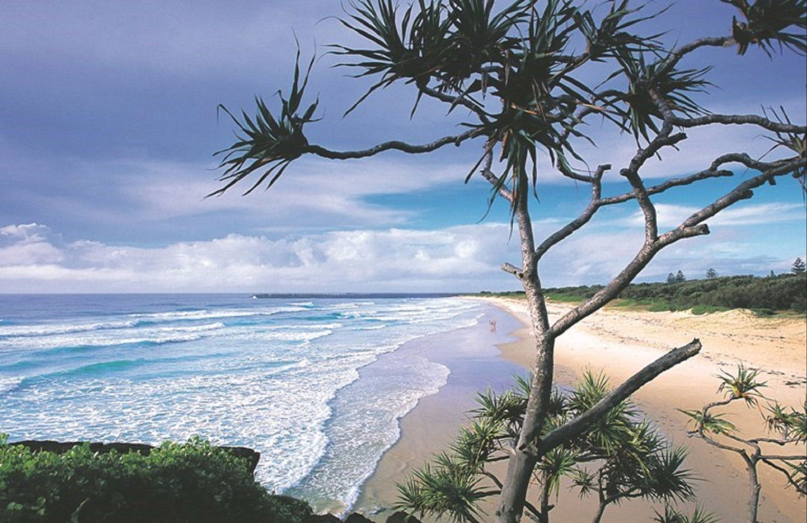 Coolgardie NSW Accommodation in Surfers Paradise