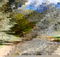 Naracoorte North Nature Park - Accommodation in Surfers Paradise