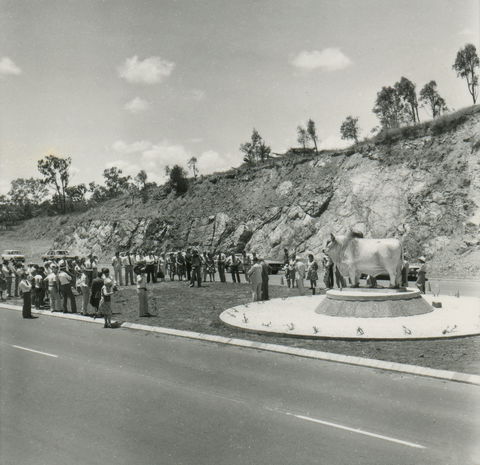 Rockhampton Bull Statues - Accommodation in Surfers Paradise 0
