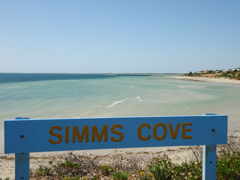 Simms Cove Lookout And Beach, Moonta Bay - Accommodation in Surfers Paradise 0