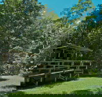 Terania Creek Picnic Area - Accommodation in Surfers Paradise
