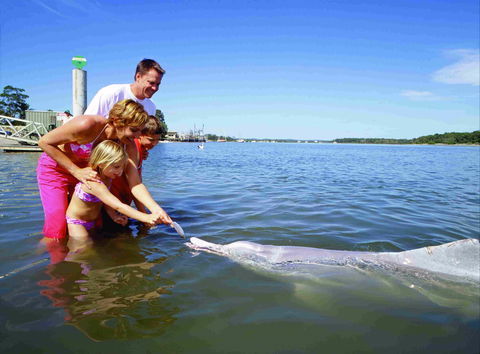 Tourist Drive- Cooloola Coast Fraser Island - Accommodation in Surfers Paradise 2
