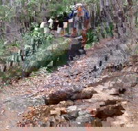 Turner Hill Mountain Bike Trail Murray - Accommodation in Surfers Paradise