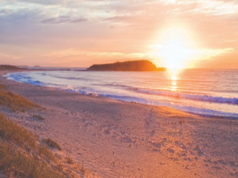 Warilla Beach: Shellharbour - Accommodation in Surfers Paradise 0