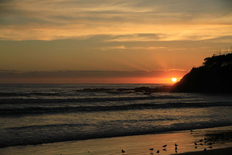 Woolgoolga - Accommodation in Surfers Paradise 2