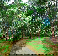 Adungadoo Pathway - Accommodation in Surfers Paradise