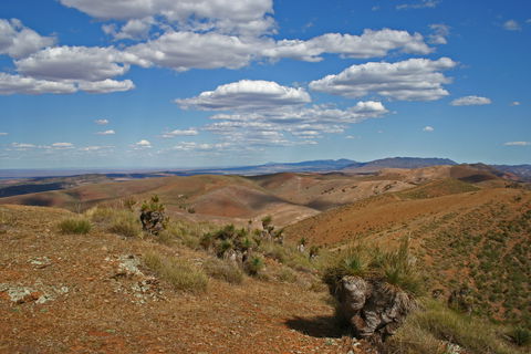 Arden Hills 4WD Track. - Accommodation in Surfers Paradise 0