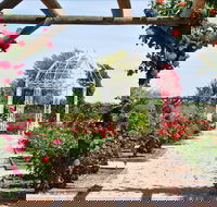 Australian Inland Botanic Gardens - Accommodation in Surfers Paradise