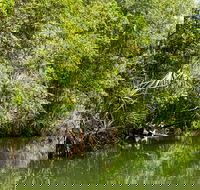 Berry Springs Nature Park - Accommodation in Surfers Paradise